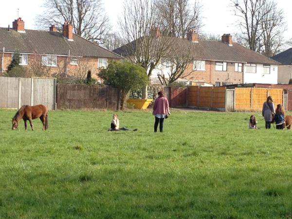Emjcot's tweet image. Mini horses on a stretch of land by river Rea, Selly Park/Stirchley area today