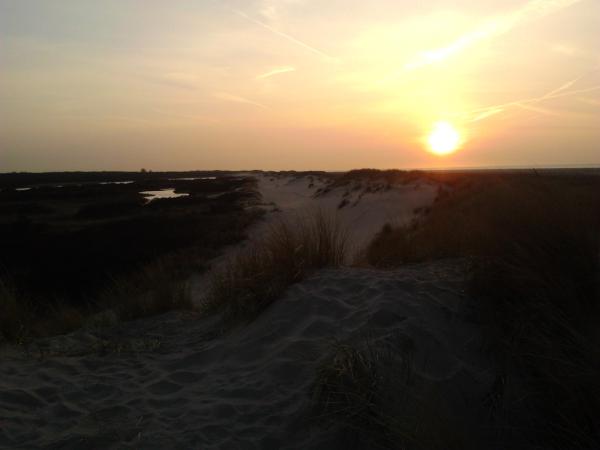 JandeRoon's tweet image. Zon zakt #kwade hoek, laat de schemernatuur maar ontwaken!