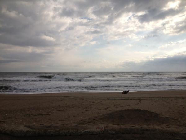 Tys181's tweet photo. http://t.co/Ey3YuWwO