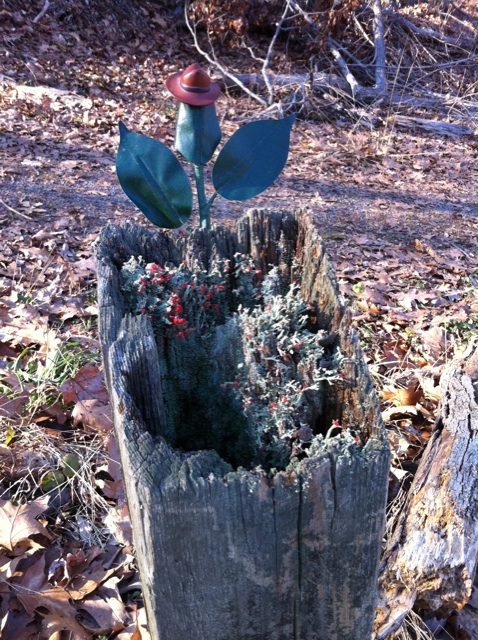 itsPlanty's tweet image. @ZebraKevin [ Here you go! ]