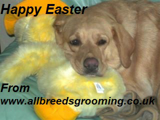 Happy Easter.