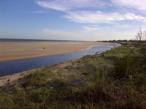 feforoi's tweet photo. Paseando en cuatri http://t.co/MJ6NtcYN