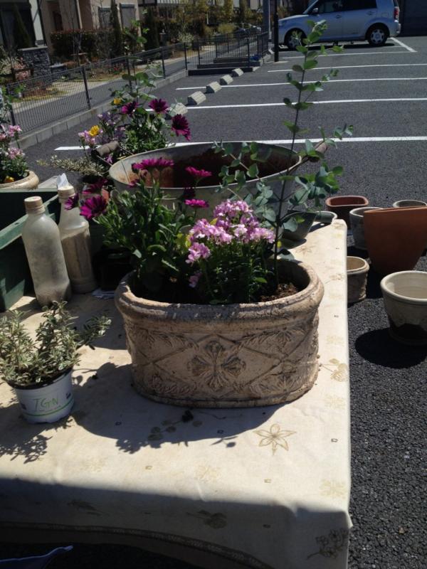flower_hanaco tweet picture