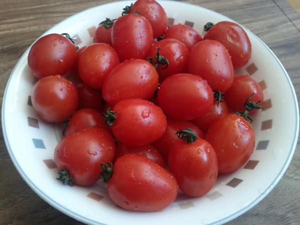 NZSunny's tweet photo. 가끔 냉장고를 열어보면 사놓고선 잊었던 것들을 발견한다. 오늘은 성의를 좀 부려서 씻은 방울 토마토. http://t.co/wfyM2Bld
