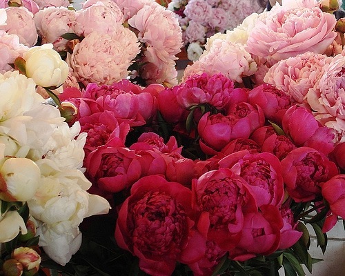 MSurova's tweet photo. запах... http://t.co/lyAOXFTR