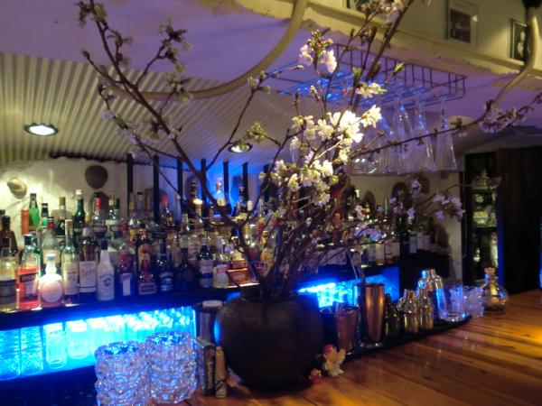 bar_secret's tweet photo. BAR SECRETでも桜が咲いています
恵比寿　バー　シークレット http://t.co/cC25cojO