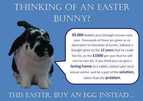 RSPCAShropshire's tweet photo. Give chocolate this Easter and not a rabbit http://t.co/qAvWwdC9