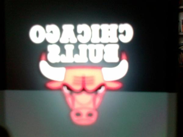 wildsam's tweet photo. who likes the bulls i do http://t.co/v3gxqFli