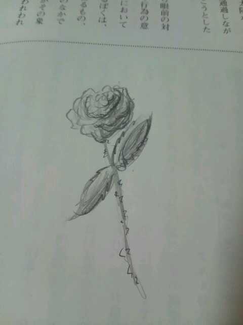 cskksceee's tweet photo. ゴッホの評論読んでたら無意識に絵を描いてしまっていた件。｢ひまわり｣に対抗。 http://t.co/UbfDbZkJ