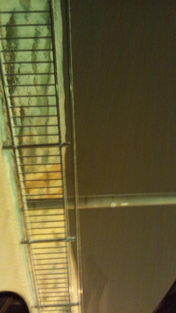 ★TAISEI★ tweet media