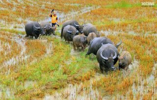 CunnieLee's tweet photo. VietNam http://t.co/M5U9gmhM