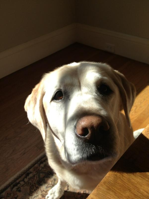 KatieS's tweet photo. Someone wants to go on Spring Break with the family #irideinside http://t.co/xggAml72