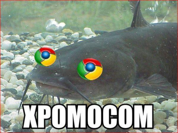 Хром-сом :)