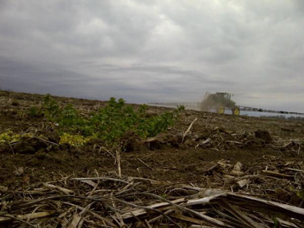 colbyhunt's tweet image. Spraying #spring12