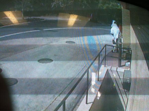 Gino Mattace tweet media