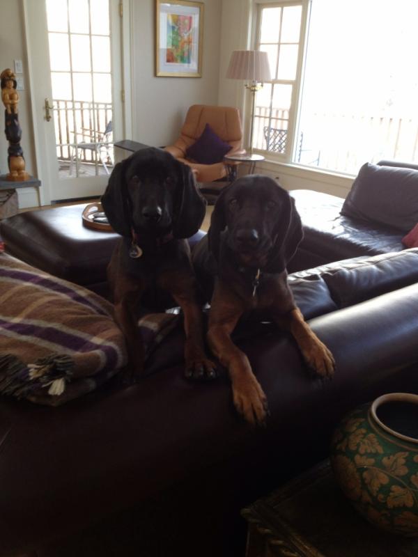 Are you making our dinner?