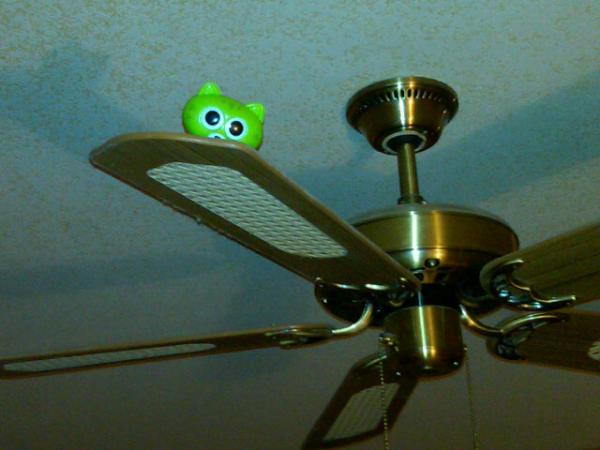 mrmichaeljohn's tweet image. Friggin' Easter bunny must be #wiltchamberlain putting plastic eggs full of candy up there... #whatthedeuce #fb