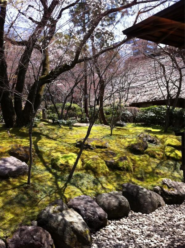 stella865's tweet photo. 八勝館なう。会社の先輩、結婚式。 http://t.co/A8tuHhiD
