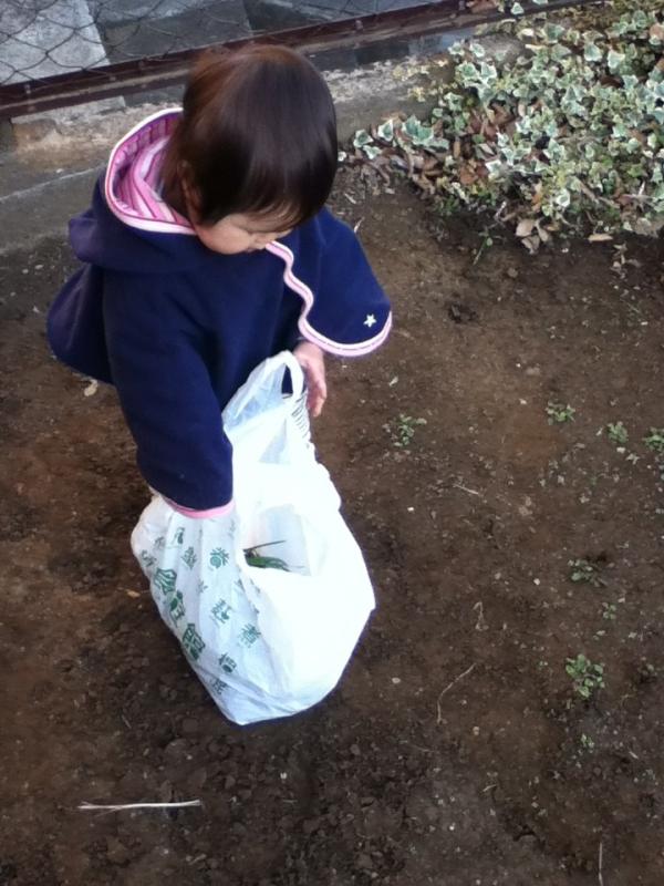 tomoco　icchi (@tomoco_icchi) on Twitter photo 