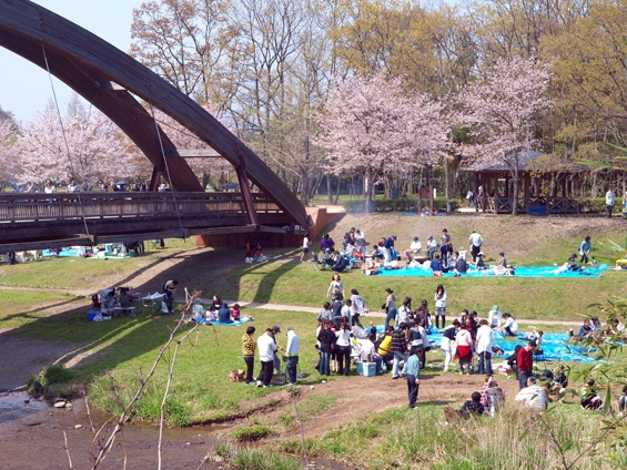 数年ぶりに大分に帰省することが決定(´ω`)/ 今から凄く楽しみデス♪ 大分の皆様宜しく～☆