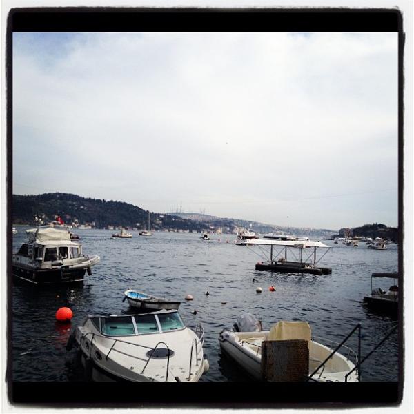 DjedovicNihad's tweet photo. Bebek http://t.co/7HC4Cowr