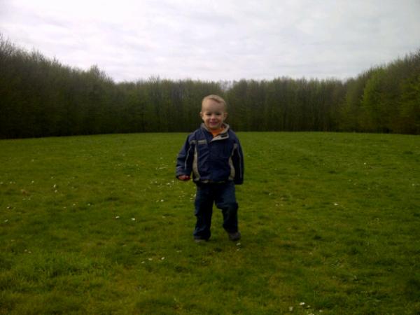 Valkonet's tweet photo. Floris rent lekker door de Groene Kathedraal http://t.co/G6khrD2B