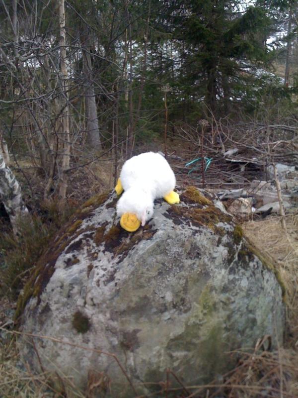 MarteAdele's tweet photo. Det har vært en tøff påske. http://t.co/fli5PJzb