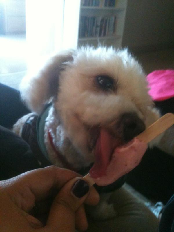 HesSoFluffy's tweet photo. Just a Tuesday afternoon enjoying a Popsicle from the paletero man. Care to join? http://t.co/g3plUSZF