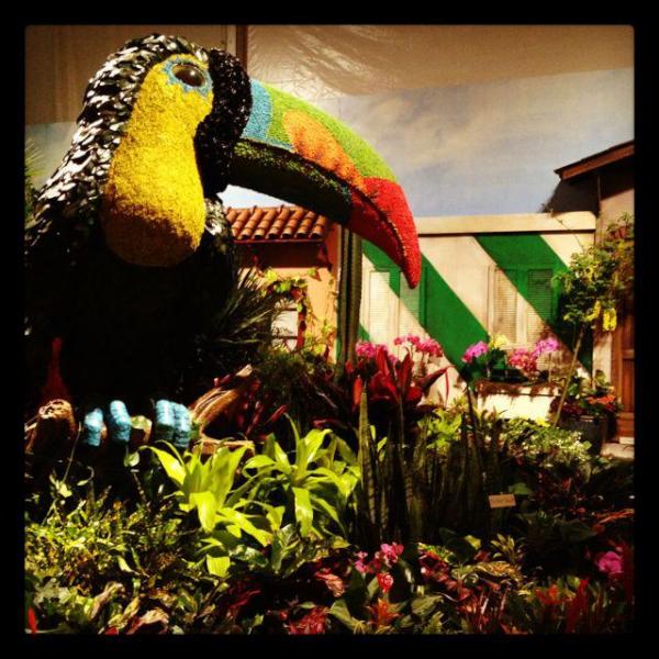 FloraMenu's tweet image. A giant toucan made of flowers!