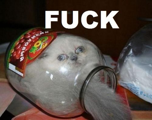 samsquanch99's tweet photo. oh shit guys http://t.co/8kBoWGvT