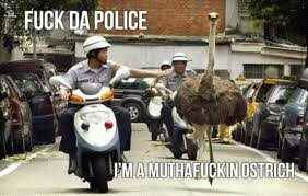 OKCopBlock's tweet image. 