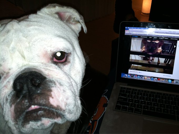 What's up stew?!?!? @PulpMyFiction ... Love always sami!! http://t.co/eWiWKMAC<a class="tags" target="_blank" title="On Twitter" href="/?out=eyJ0eXAiOiJKV1QiLCJhbGciOiJIUzUxMiJ9.eyJpYXQiOjE3MjUzMDEwNDEsImlzcyI6InR3cG9ybnN0YXJzLmNvbSIsIm5iZiI6MTcyNTMwMTA0MSwiZXhwIjoxNzU2ODM3MDQxLCJyZWRpcmVjdF91cmwiOiJodHRwczovL3R3aXR0ZXIuY29tL1B1bHBNeUZpY3Rpb24ifQ.f5tuGq78Guxvgm_e9A69aHBma-TfC5jCI1sw7kHhqXyxXO6Kyp_-W4bc3IKUNN21OWj_NBUs0Z8_F9JXDuuRwA">@PulpMyFiction</a><a href="/tag/dowerk"class="tags"><span>#dowerk</span></a><a href="/tag/guessbymarciano"class="tags"><span>#guessbymarciano</span></a>