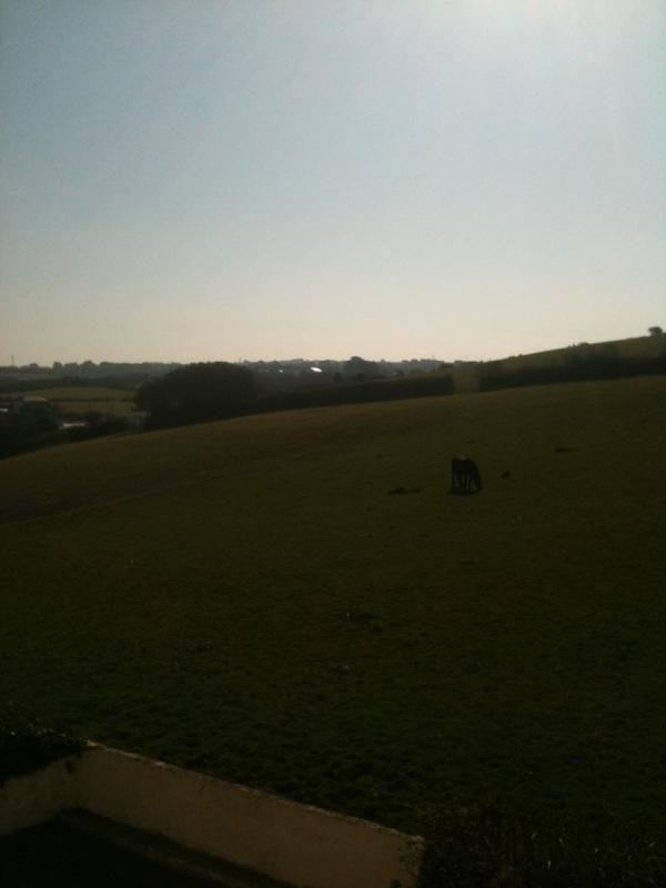 AbiDrew2's tweet image. Never doubt Cornwall, #pullingthrough