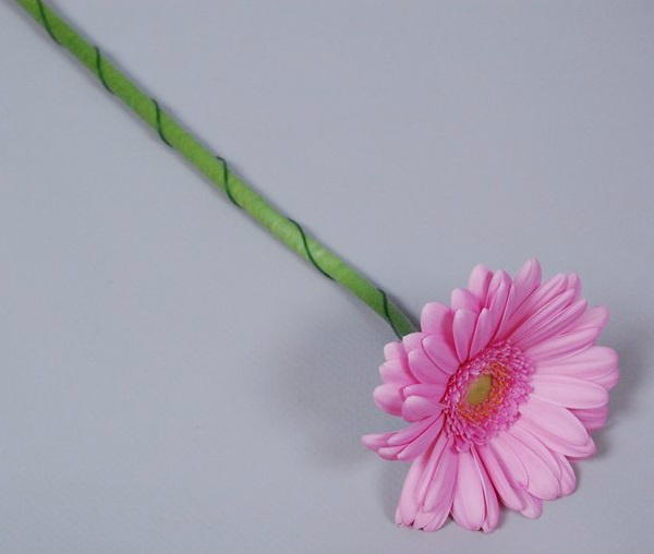 Tip: if you must use binding material, only use completely plasticized wire or aluminium wire. #Gerbera #FlowerCare