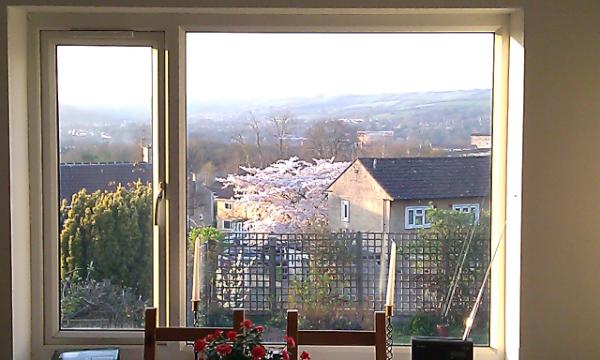back2natural's tweet photo. Room with a view http://t.co/nz7UHuG7