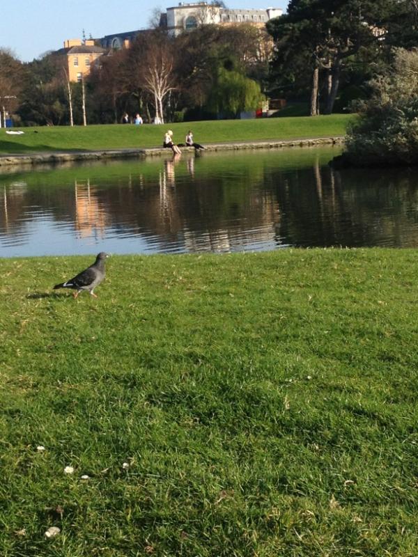 NA_127_90s's tweet image. Standard sticking your feet in filthy pond #knacker