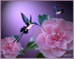andrecpinto's tweet photo. @Isabellarropa son muy bienvenidos! ¡Gracias! Un abrazo grande y fuerte a todos http://t.co/vQXWbCA1