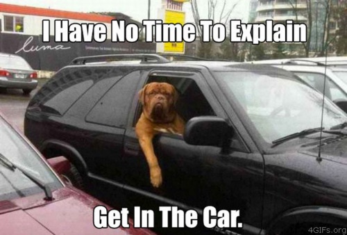 Ignatiousssss's tweet photo. Entra en el coche! No tengo tiempo para explicarte! #frasesquesiemprehequeridodecir http://t.co/dmi4n3Gy