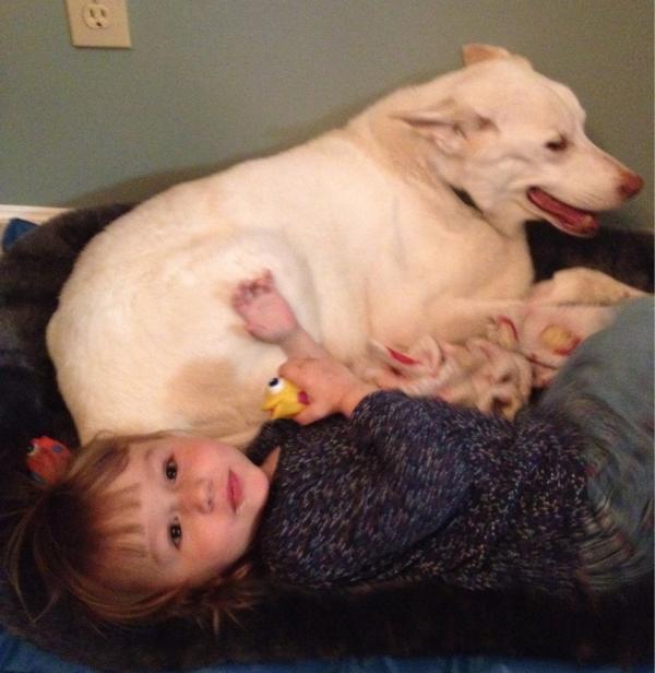 matteakin1119's tweet photo. @BethStern http://t.co/uLIpyRTC