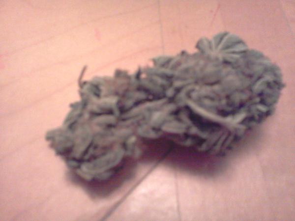 ThaWavyBoy's tweet image. That piffy on Deck #CloudSessions