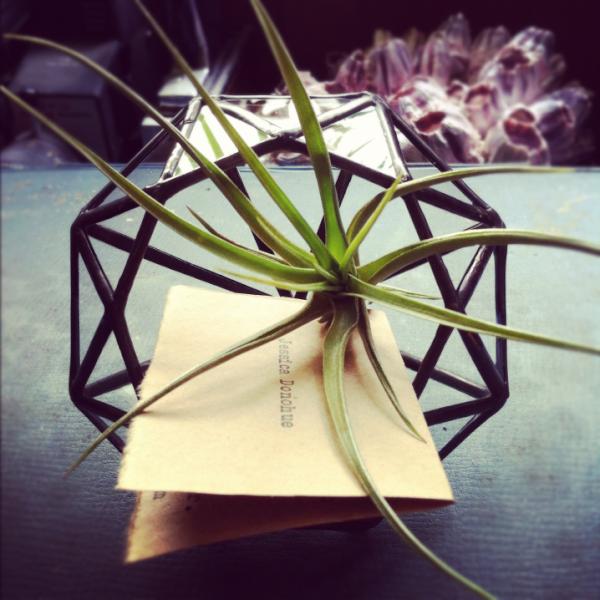 Thank you Jessica Donohue and Melissa Miller Gunton for being my first customers, elated at making my first etsy sales!