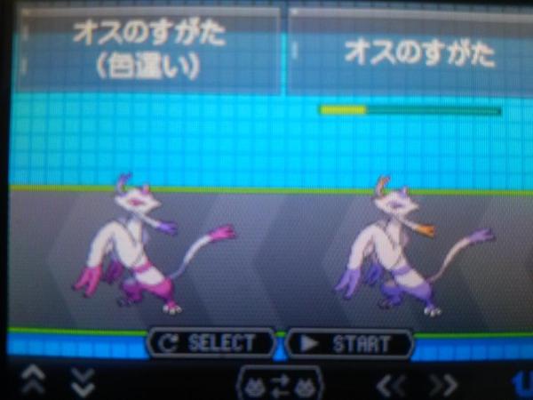 コジョンド 家族に色違いの子が加わったんだ T Co Ynfykwia コジョンド 家族に色違いの子が加わったんだ T Co Ynfykwia
