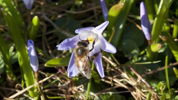 eyebrite's tweet photo. Våren närmar sig. http://t.co/F5ZVM6Wm