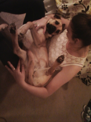 SavingBest4Last's tweet photo. Hey! Check out our classmate, Kellyn! She recently adopted a puppy from Austin Pets Alive and couldn't be happier! http://t.co/kD55F3qL