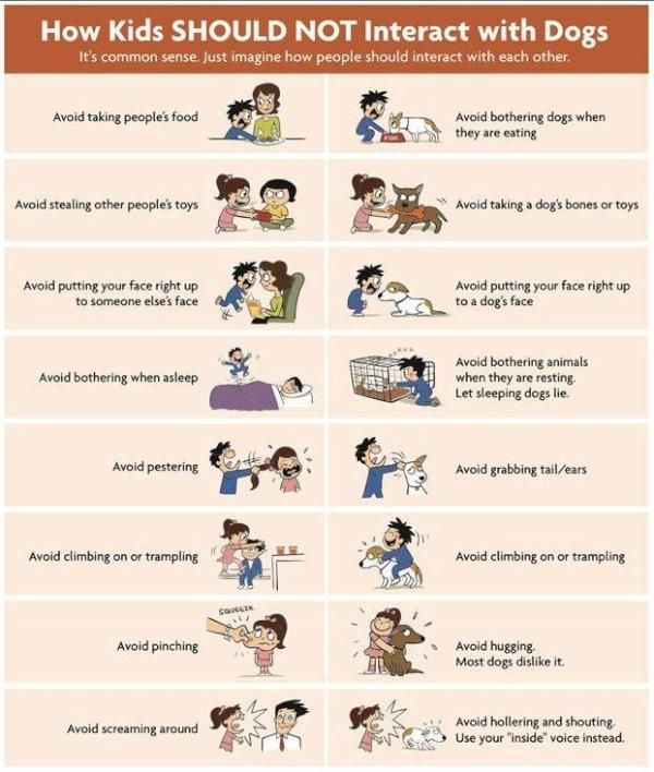 How kids should not interact with dogs... #yeg #yegpets