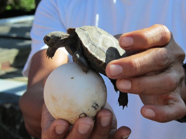 james_desilva's tweet photo. Cute little baby! http://t.co/plUF4l5b
