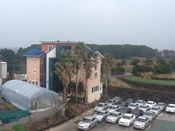 happyrent's tweet photo. 제주도에 바람이바람이... 굉장히 세게 붑니다. 큰 나무가 휘청휘청. 태풍 같아요.ㅠㅠ http://t.co/RFyRUoCC