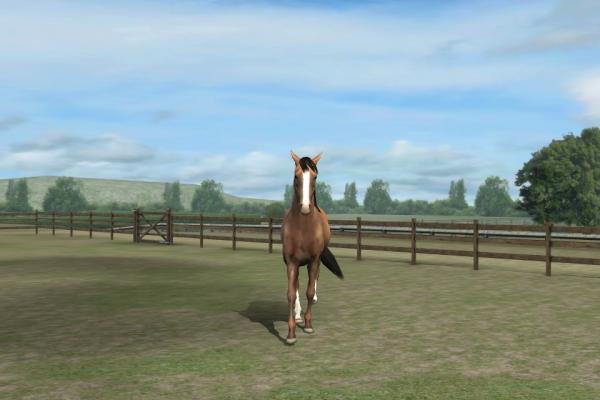 Check out my photo! Add me, Arabsendbad. #MyHorse nmgam.es/horse_twittera…