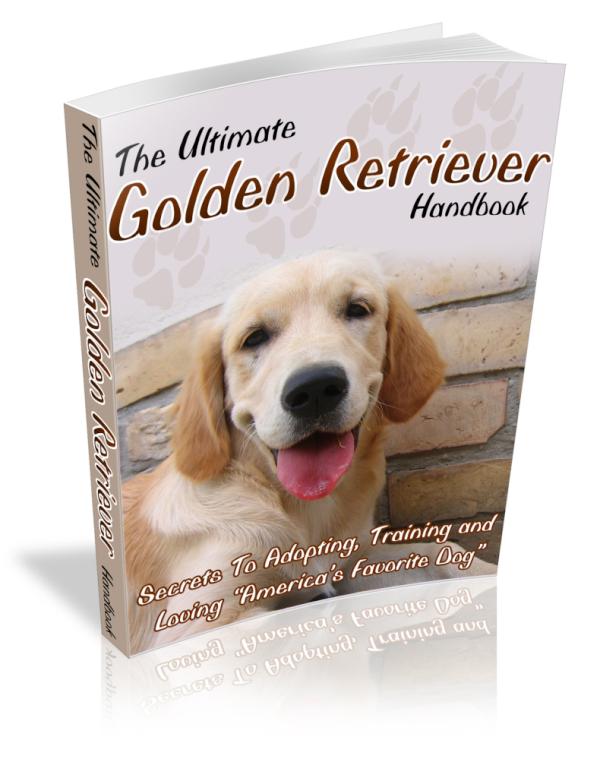 Check the new updates, the most important information about Golden Retrievers
bestgoldenretriever.com