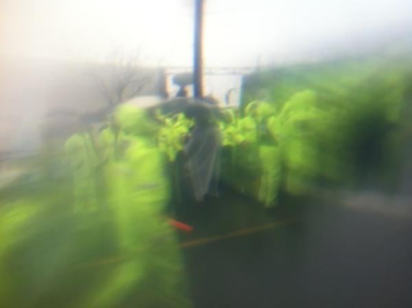 munjhj tweet picture